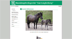 Desktop Screenshot of huzulenpferde.at